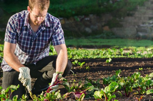 Professional garden clearance service in Brockley