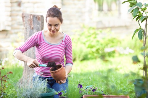 Final inspection by professional gardeners in a Brockley backyard