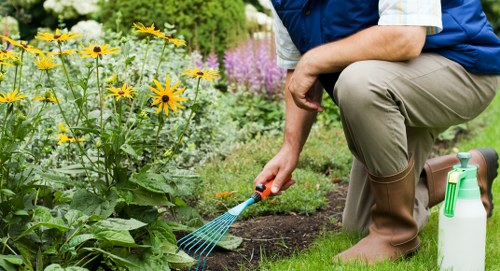 Clean and tidy garden after clearance